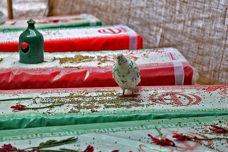 برگزاری یادواره شهدای گچساران