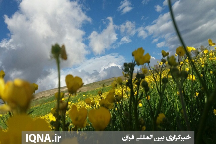 مسافران در عید نوروز از مناطق حفاظت شده استان اردبیل بازدید می&zwnj;کنند