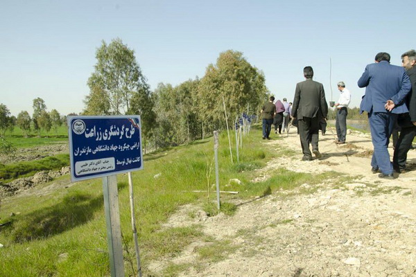 گزارش تصویری نهالکاری اعضای جهاد دانشگاهی در بهار ۴۰ سالگی انقلاب گزارش تصویری نهالکاری اعضای جهاد دانشگاهی در بهار ۴۰ سالگی انقلاب