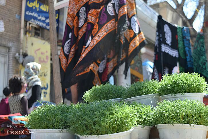 كاشتن سبزه؛ از آیینهای لرستانیها در نوروز كاشتن سبزه؛ از آیینهای لرستانیها در نوروز