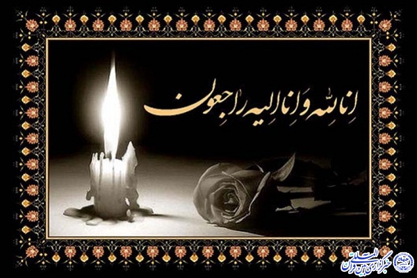 مادر شهید &laquo;اسماعیل نوبهار مغانلو&raquo; به فرزند شهیدش پیوست