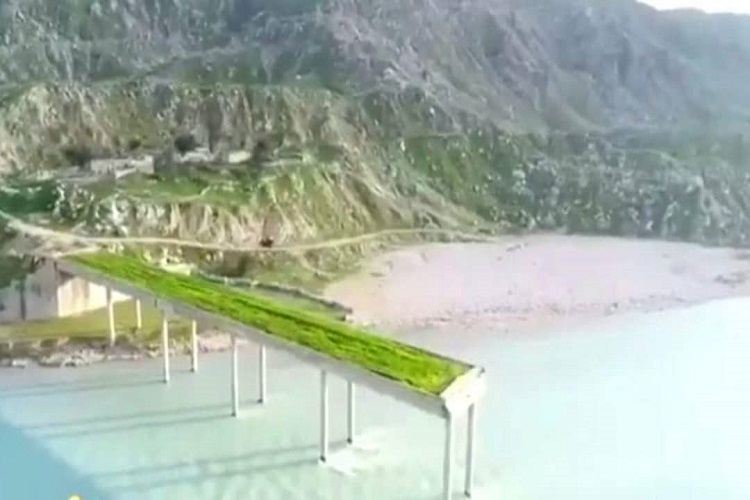 داستان پلی که زیر کشت گندم رفت!