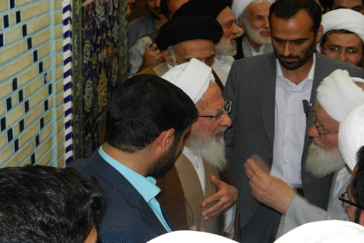 گزارش تصویری از دیدار علمای همدانی با مراجع تقلید