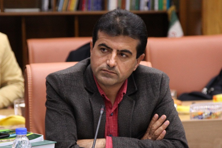 عملکرد جهاددانشگاهی کردستان در طرح توسعه مشاغل خانگی مطلوب بوده است