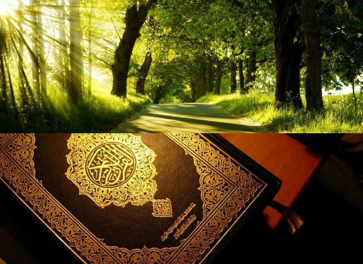 برگزاری مسابقه &laquo;قرآن و محیط زیست&raquo; در هفته محیط زیست
