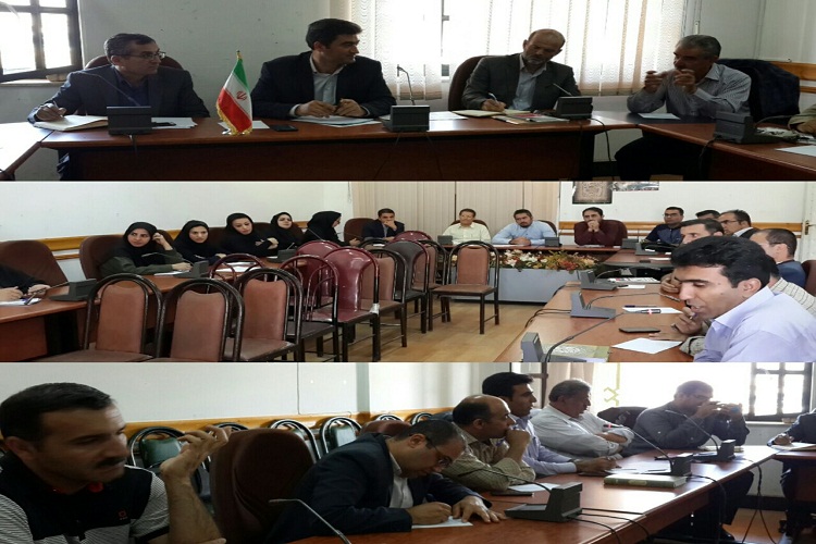 نشست هم&zwnj;اندیشی اصحاب رسانه کردستان با مدیر کل فرهنگ و ارشاد اسلامی برگزار شد