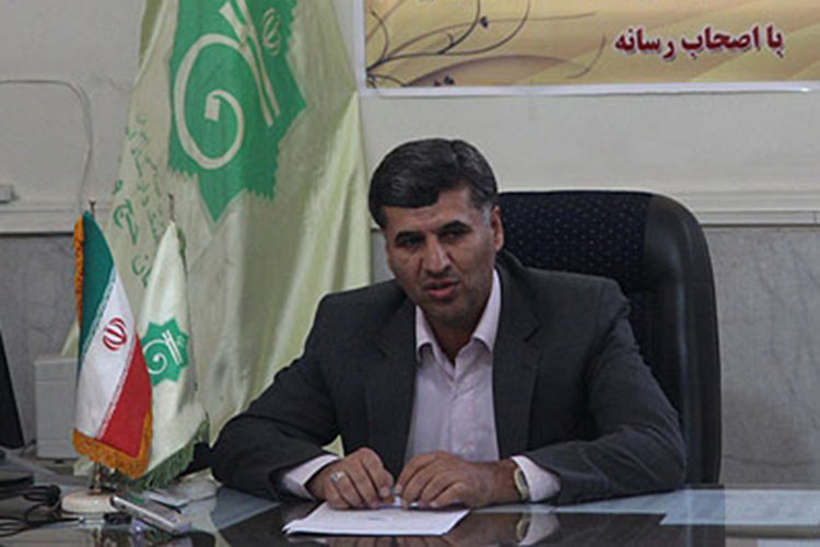 شریفی