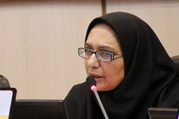 گذر فرهنگ و هنر محلی برای تعامل و کنش شهری است