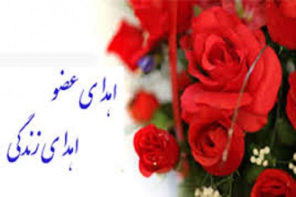 اهدای اعضای مادر باردار به 3 نفر زندگی دوباره بخشید
