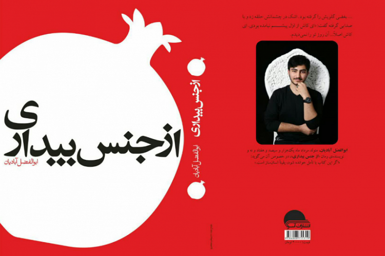 معرفی آیت&zwnj;الله مروجی(ره) در کتاب &laquo;از جنس بیداری&raquo;