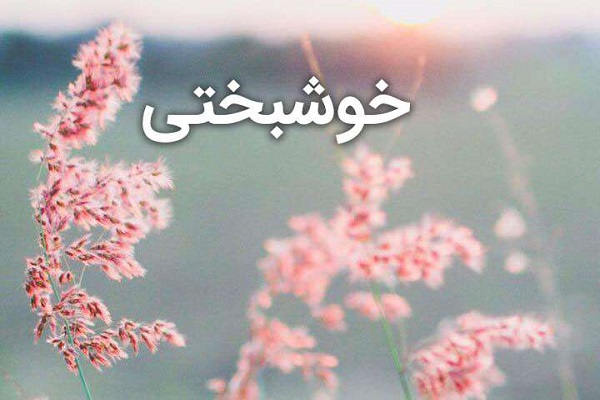 خوشبختی واقعی در گرو حرکت به سمت غایت الهی انسان است