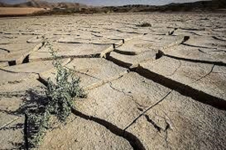 خراسان&zwnj;شمالی در مراحل سخت خشکسالی به سر می&zwnj;برد