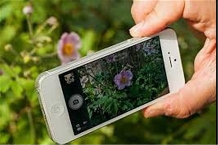 برپایی نمایشگاه گروهی عکس موبایلی &laquo;با خیش/بینه&zwnj;ر&raquo;