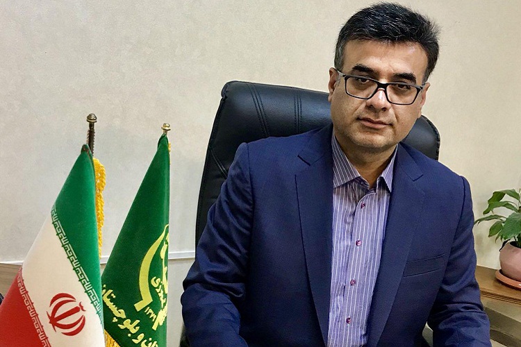 پرداخت 82 درصد مطالبات گندم&zwnj;کاران سیستان و بلوچستان