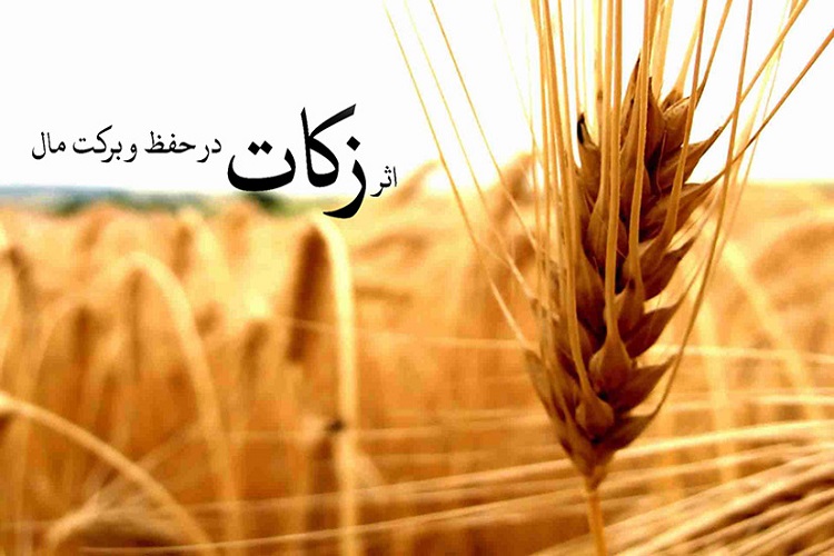 اختصاص زکات پرداختی هر روستای خراسانشمالی به رفع مشکلات نیازمندان همان منطقه اختصاص زکات پرداختی هر روستای خراسانشمالی به رفع مشکلات نیازمندان همان منطقه