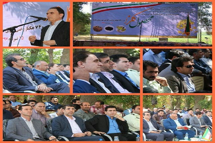 برگزاری جشن شکرگزاری برداشت کلزا در الشتر