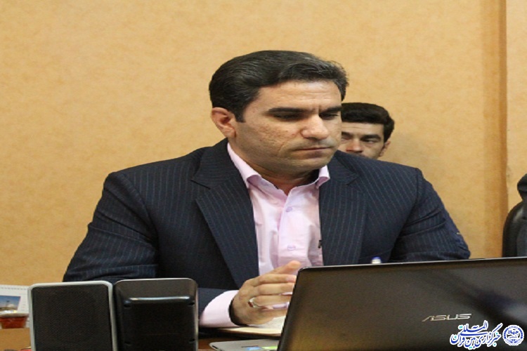 همراهی نهادهای حاکمیتی خراسان جنوبی با طرح ملی توسعه مشاغل خانگی