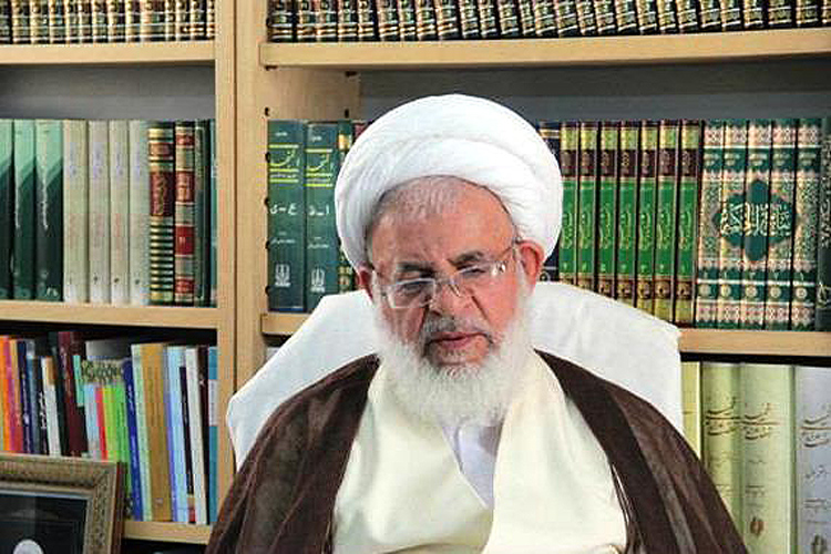 خدمت به زائران حج بسیار ارزشمند است خدمت به زائران حج بسیار ارزشمند است