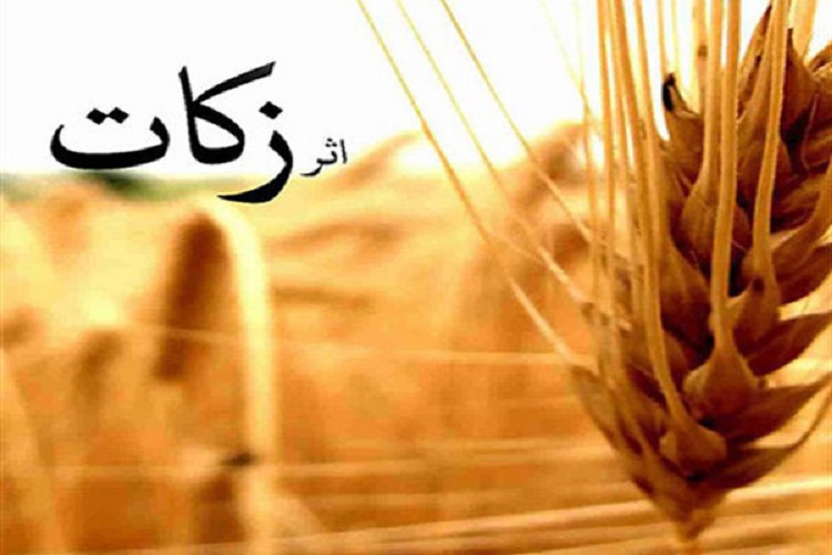 2.5 میلیارد تومان زکات در شهرستان سقز جمع&zwnj;آوری شد