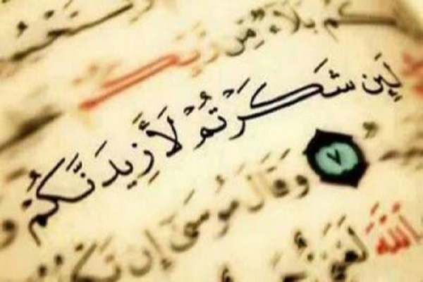 نعمت&zwnj;ها برای عبادت خداوند است، نه ایجاد فساد