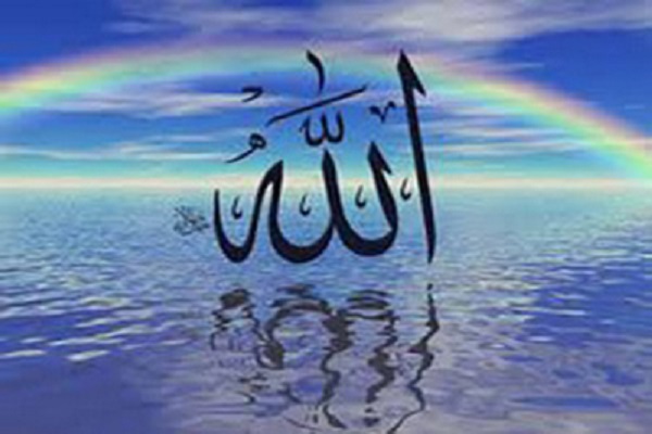 بررسی آراء مفسران شیعه درباره &laquo;لقاء الله&raquo; در قرآن کریم