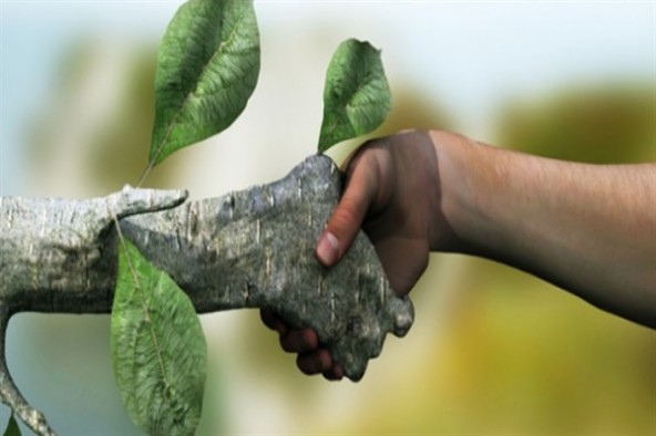 رعایت اخلاق محیط زیست و شناخت نظم طبیعت؛ دو عامل دینی کاهش بحران زیست محیطی