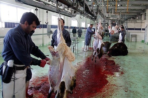 خرافات به مناسک عید قربان نفوذ کرده است