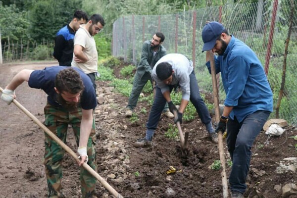 فعالیت جهادگران بسیج سازندگی دانشگاه تهران در ۲۳ روستای سردشت فعالیت جهادگران بسیج سازندگی دانشگاه تهران در ۲۳ روستای سردشت