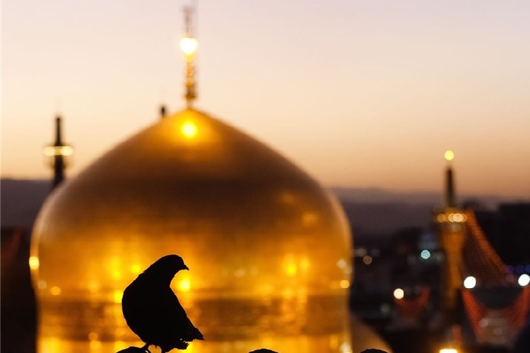 تاسی از سیره عملی امام رضا(ع) در مسائل اجتماعی و سیاسی ضرورت دارد