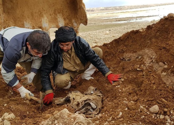 جزئیات کشف پیکر ۱۲ شهید دفاع مقدس در عراق+ عکس جزئیات کشف پیکر ۱۲ شهید دفاع مقدس در عراق+ عکس