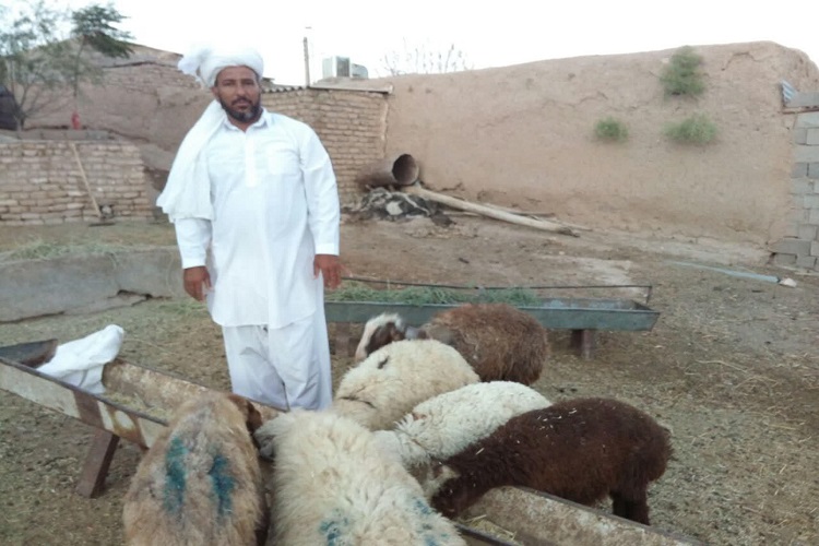 ارادت به ائمه اطهار بهترین راه رسیدن به خداوند است