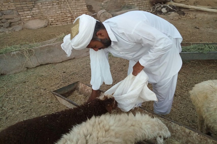 ارادت به ائمه اطهار بهترین راه رسیدن به خداوند است