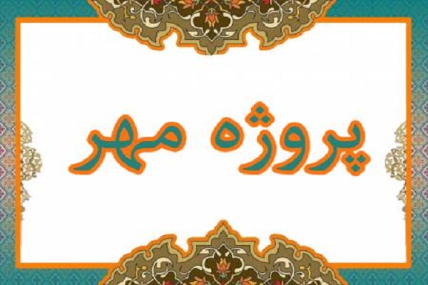 فعالیت ستاد پروژه مهر لرستان در قالب پنج کمیته