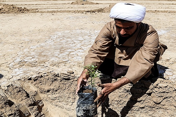 کاشت بیش از 29 هزار اصله نهال در حاشیه اتوبان قزوین &ndash; کرج