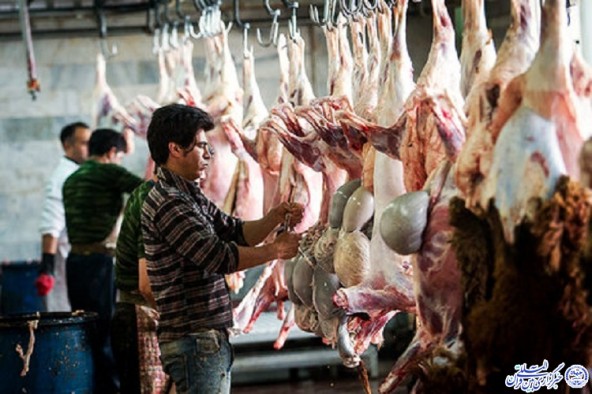 فیلم/ ذبح دام؛ سنت دیرین خراسان جنوبی در محرم