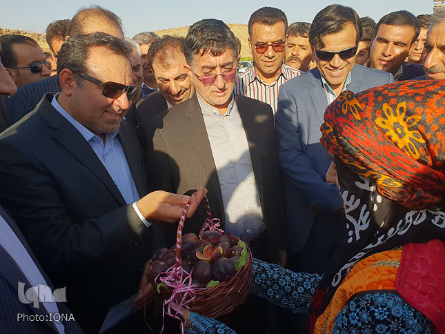گزارش تصویری جشنواره انجیر در پلدختر گزارش تصویری جشنواره انجیر در پلدختر
