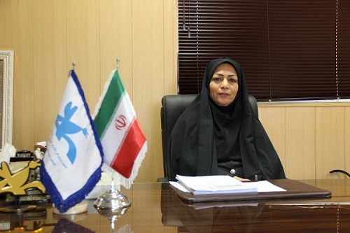 تعامل دستگاه&zwnj;ها ظرفیت فرهنگی جامعه را افزایش می&zwnj;دهد