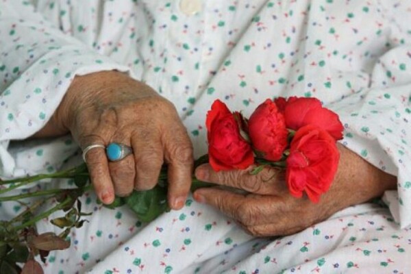 ۴۸ درصد مددجویان میاندوآب را سالمندان تشکیل می&zwnj;دهند