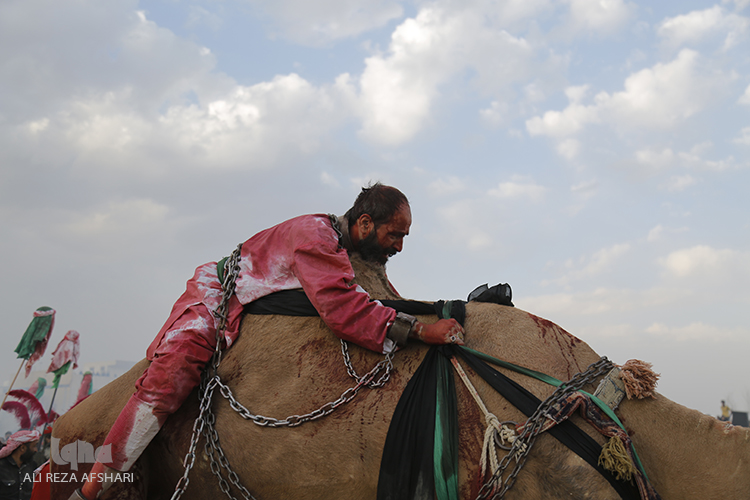 سوزِ خیام