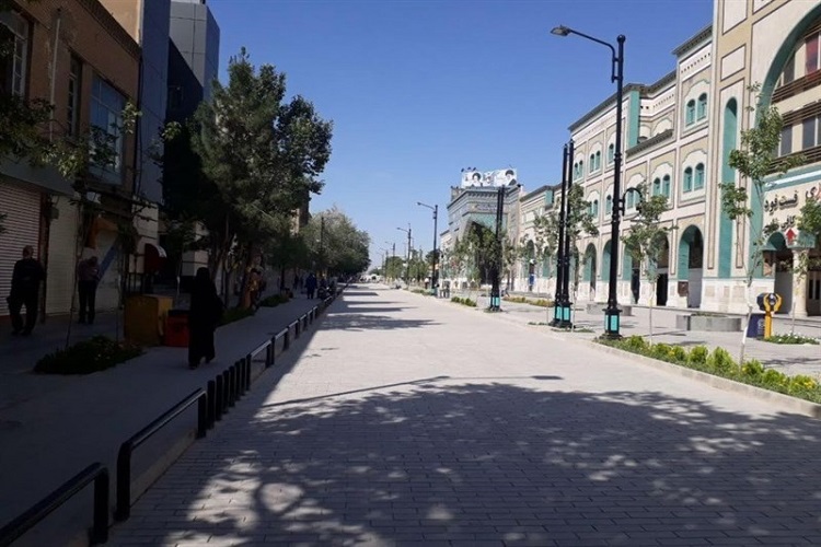 خودروهای برقی پیاده&zwnj;راه ارم، زائربر نیست