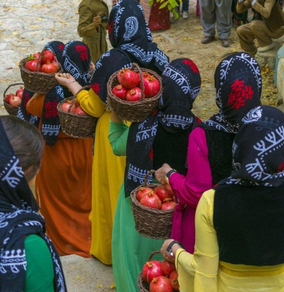 جشنواره انار اورامان ظرفیتی برای معرفی محصولات کردستان است