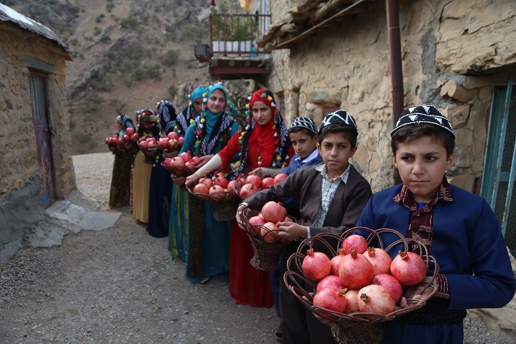 میزبانی باران از جشنواره &laquo;هه&zwnj;نار&raquo;