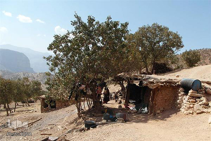 گزارش تصویری تور خبرنگاری مناطق محروم لرستان گزارش تصویری تور خبرنگاری مناطق محروم لرستان