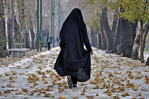 بانوی محجبه در عمل مروج &laquo;سیره فاطمی&raquo; باشد