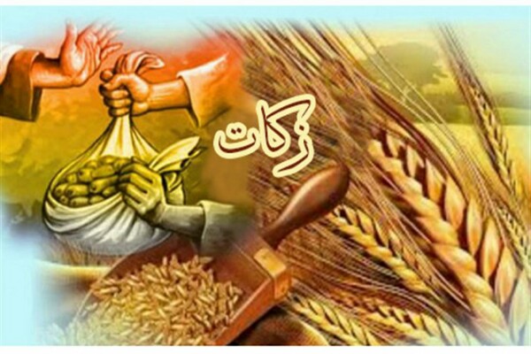 رشد ۳۰ درصدی جمع&zwnj;&zwnj;آوری زکات در پلدشت