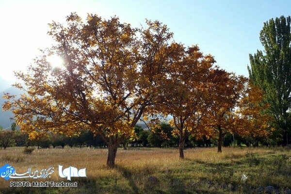 خودنمایی پاییز در منطقه آزاد ماکو