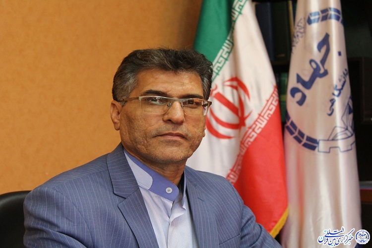 سرآغاز رسالت بر مبنای خواندن شکل گرفت/ کتاب‌خوانی زیربنای توسعه فرهنگی