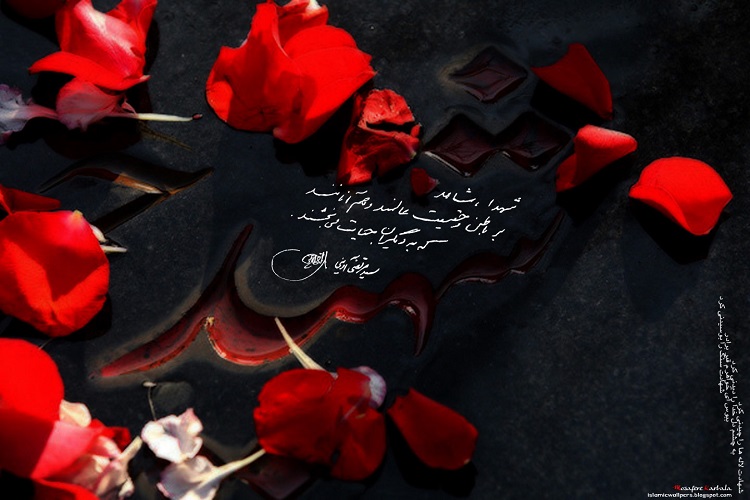 تاملي كوتاه در زندگي شهيد غنی خودسوز