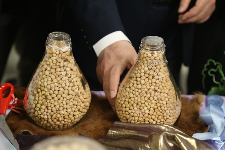 برپایی نمایشگاه دستاوردهای پژوهشی و فناوری در کردستان برپایی نمایشگاه دستاوردهای پژوهشی و فناوری در کردستان