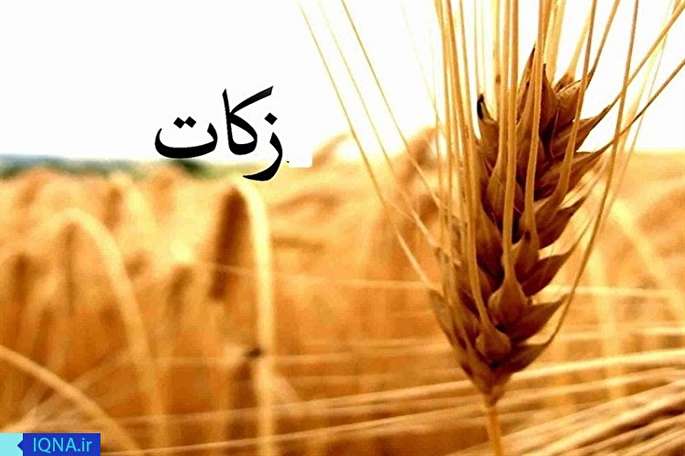 ۳۲ میلیارد ریال زکات در چهارمحال و بختیاری جمع&zwnj;آوری شد